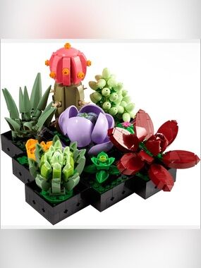 LEGO Botanicals Succulents set